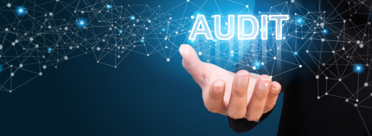The argument for holistic AI audits